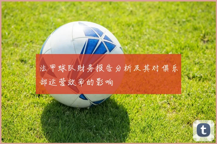 法甲球队财务报告分析及其对俱乐部运营效率的影响