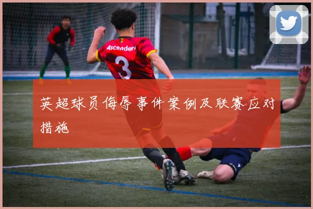 英超球员侮辱事件案例及联赛应对措施