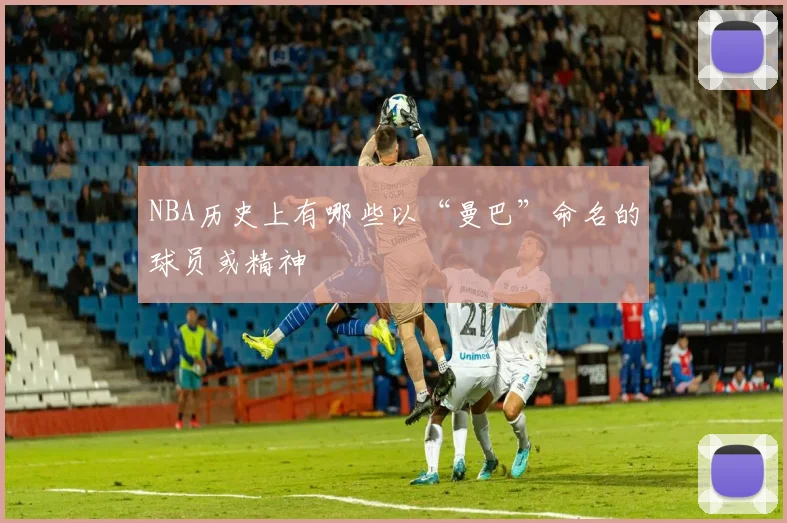 NBA历史上有哪些以“曼巴”命名的球员或精神