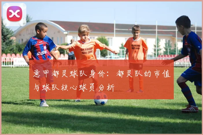 意甲都灵球队身价：都灵队的市值与球队核心球员分析