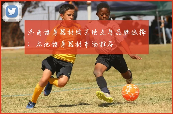 济南健身器材购买地点与品牌选择：本地健身器材市场推荐