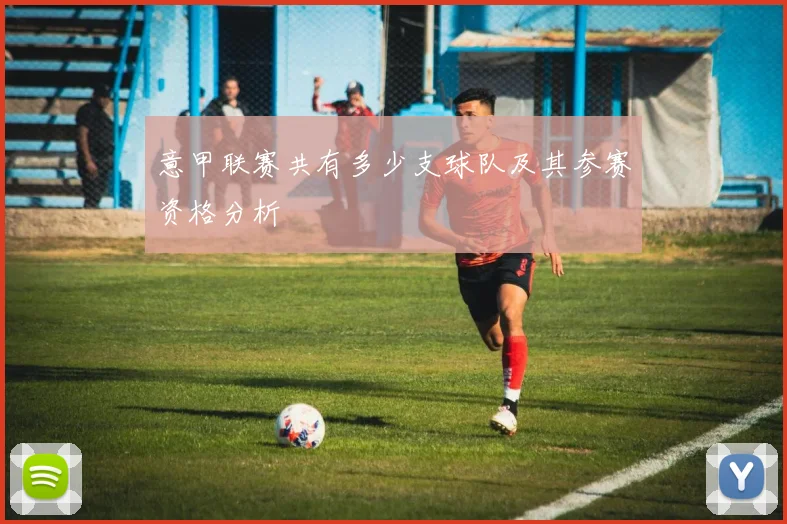 意甲联赛共有多少支球队及其参赛资格分析