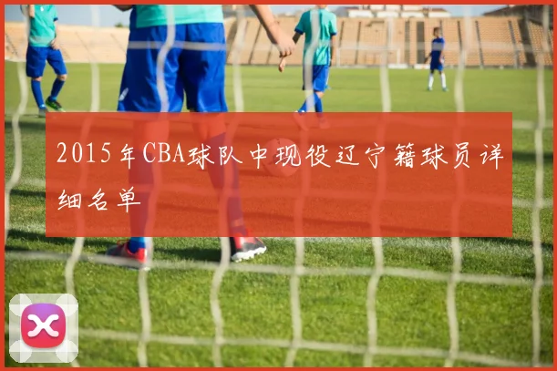 2015年CBA球队中现役辽宁籍球员详细名单