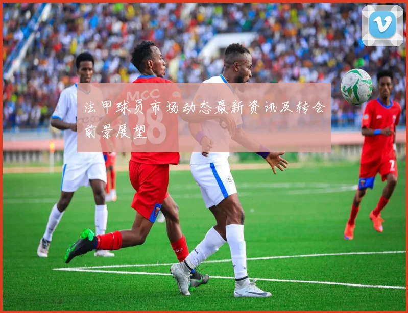 法甲球员市场动态最新资讯及转会前景展望