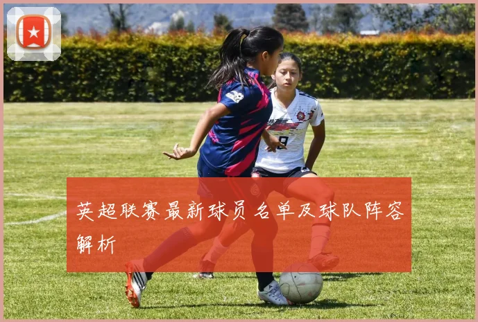 英超联赛最新球员名单及球队阵容解析